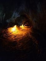 049 Hawaii - Big Island - Lavaröhre