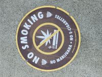 104 Beverly Hills - Rodeo Drive