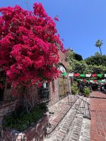 Stadtrundfahrt Los Angeles - Olvera Street