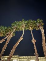 Los Angeles/Santa Monica -Hilton Hotel