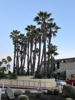 Ankunft in Los Angeles 