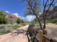 Zion Nationalpark (7)