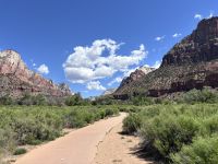 Zion Nationalpark (1)