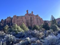 Zion Nationalpark (2)