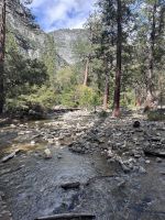 Yosemite Nationalpark (81)