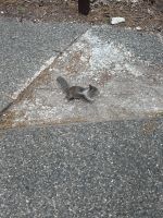 Yosemite Nationalpark (102)