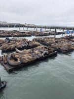 San Francisco - Pier 35