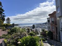San francisco - Lombard Street (1)