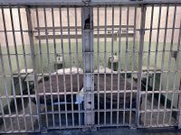 San Francisco - Alcatraz Gefängnis (43)