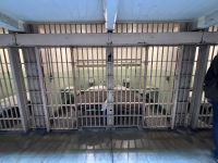 San Francisco - Alcatraz Gefängnis (44)