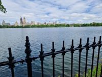 während der Stadtrundfahrt