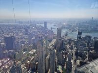 Blick vom One World Trade Center 