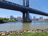 Brooklyn Bridge Park