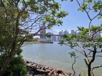Brooklyn Bridge Park