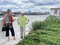 Brooklyn Grange Farm