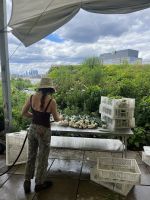 Brooklyn Grange Farm