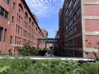Highline Park New York (3)