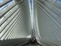 Oculus Bahnhof New York (1)