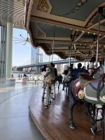 Brooklyn Bridge Park New York (13)