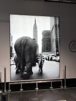 Empire State Building New York (4)