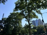 Central Park New York (4)
