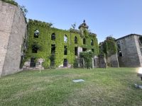 Roosevelt Island New York (1)