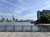 Queens New York (15)