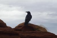 Canyonlands Nationalpark