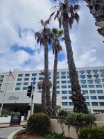 Hilton Hotel Santa Monica