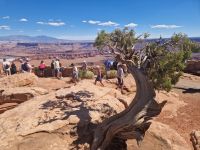 Dead Horse Point