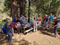 Picknick im Yosemite NP
