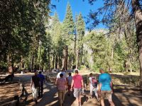 Yosemite Nationalpark 