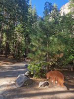 Yosemite Nationalpark 