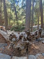 Yosemite Nationalpark 