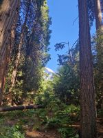 Yosemite Nationalpark 