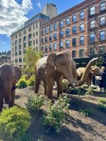 The Great Elephant Migration - Meatpacking District