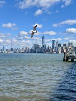 Blick von Liberty Island auf Manhattan