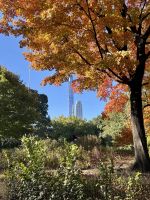 Ein klein wenig Indian Summer Feeling im Central Park