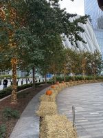 Herbstdeko vor the Vessel