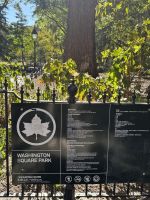 Bummel durch den Washington Square Park