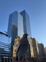 Silvesterreise New York City - High Line (1)