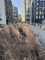 Silvesterreise New York City - High Line (6)