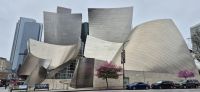 07 Walt Disney Concert Hall