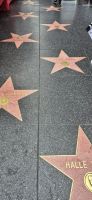 17 Walk of Fame