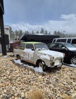 133 Trabbi von Drehorgel Rolf