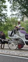 80 Kutsche im Central Park