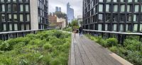 96 High Line in Manhattan