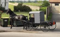 127 Transportmittel der Amish