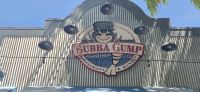 239 Mittagessen bei Bubba Gump Shrimp Co.
