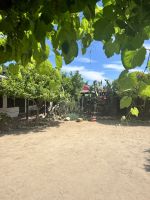 Los Angeles - Olvera Street